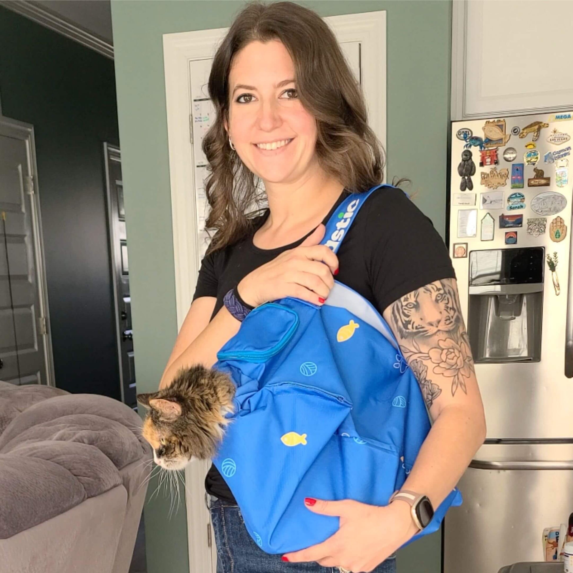 Kitastic Cat Carrier