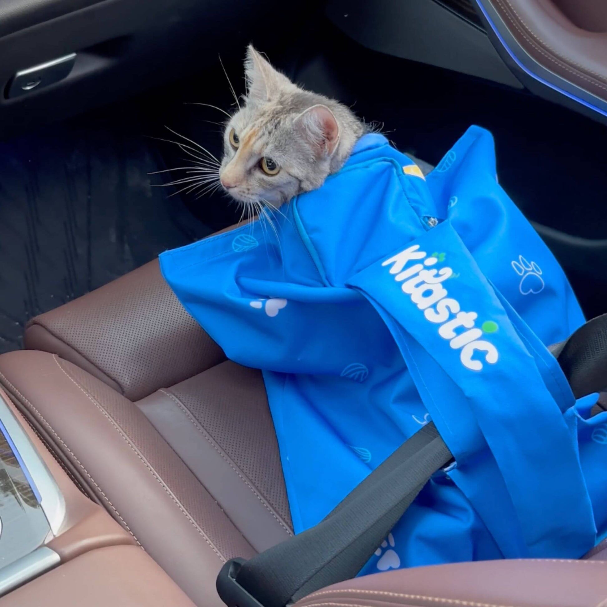 Kitastic Cat Carrier
